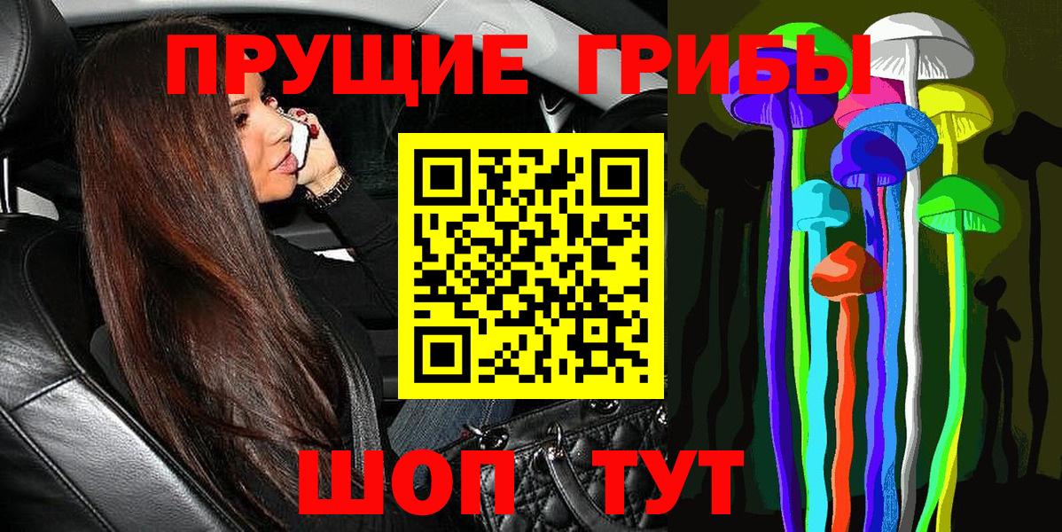 Псилоцибиновые грибы ЛСД  Галлюциногенные грибы GOLDEN TEACHER  Чистополь  Вход с VPN 